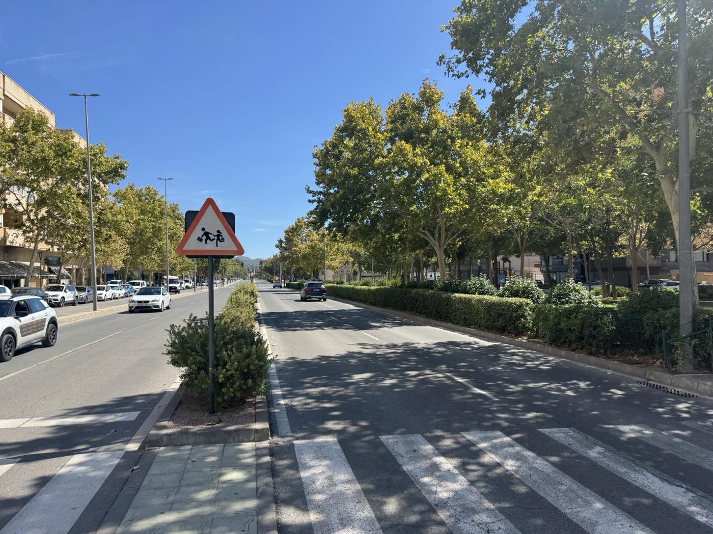 La Avenida de Ronda de Elda, con sus cuatro carriles, el arbolado y el paso de peatones junto a la señal de colegio