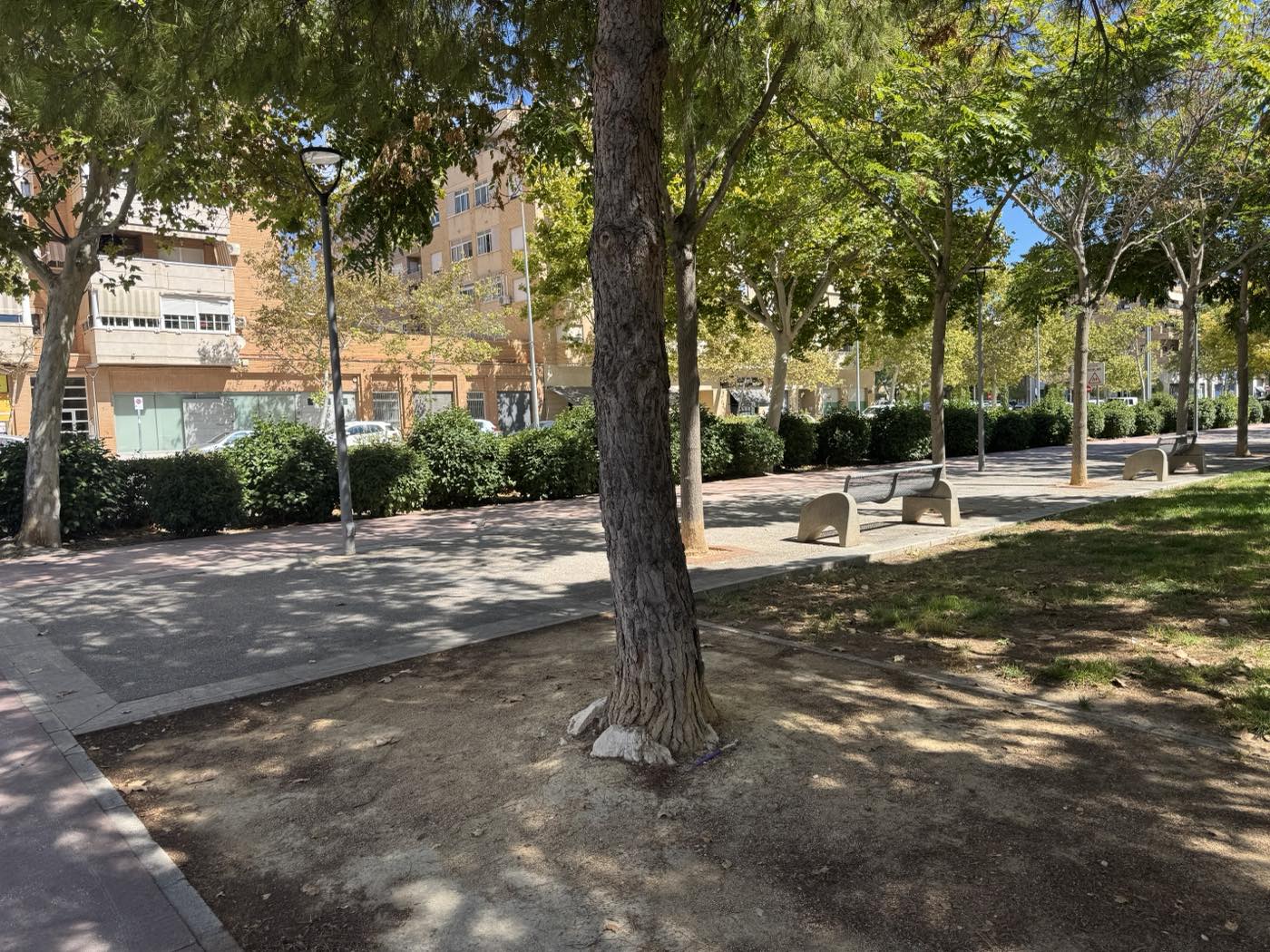 Zona ajardinada de la Avenida de Ronda con bancos, y los edificios de viviendas con comercios en los bajos al otro lado