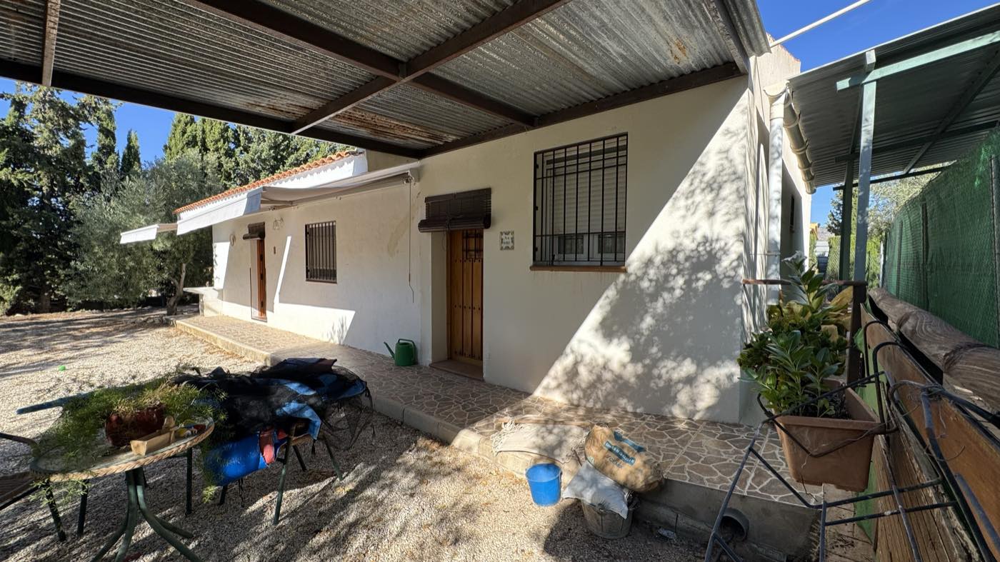 La parcela, con olivos y cipreses